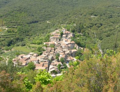 The village Le Pin in the Hérault