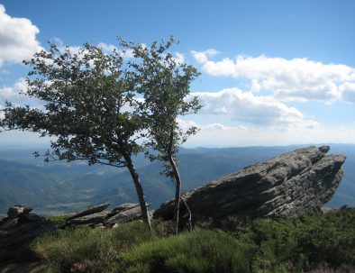 Mont Caroux