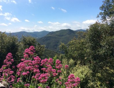 Mountain views from the terrace of Bergerie Les Fons