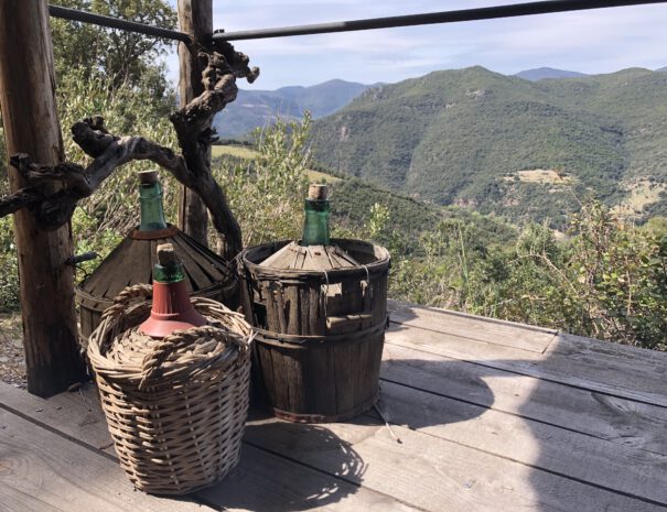 View from the terrace of Bergerie Les Fons