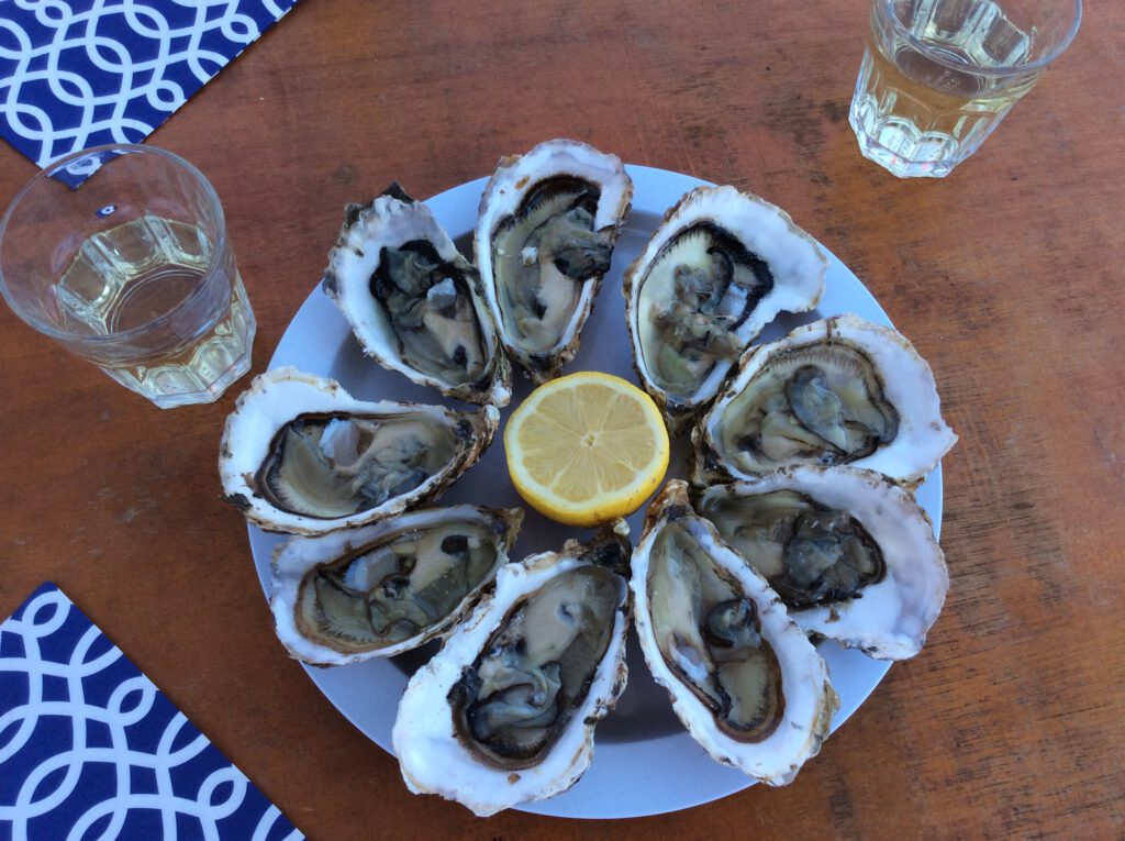 The famous oysters of Bouzigues from the Etang de Thau