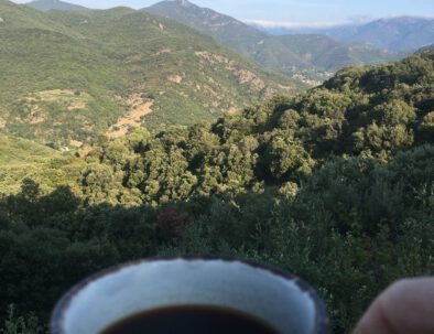 A coffee at the terrace of Bergerie Les fons