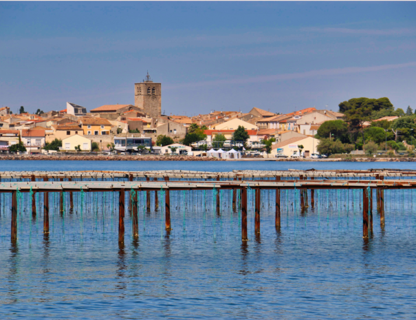 Marseillan, Casa Thau, Location in South of France, hérault, Holidays, Renting